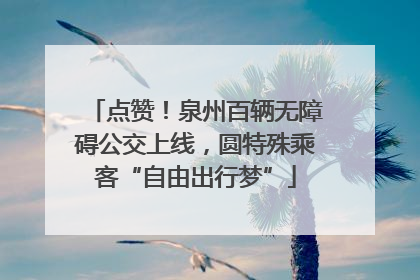 点赞！泉州百辆无障碍公交上线，圆特殊乘客“自由出行梦”
