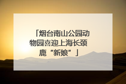 烟台南山公园动物园喜迎上海长颈鹿“新娘”