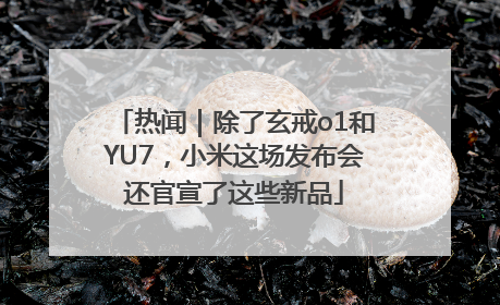 热闻｜除了玄戒o1和YU7，小米这场发布会还官宣了这些新品