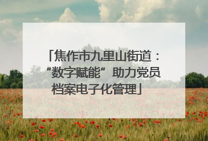 焦作市九里山街道：“数字赋能”助力党员档案电子化管理