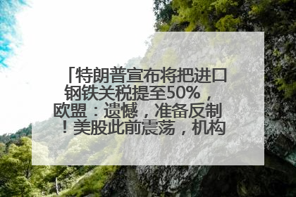 特朗普宣布将把进口钢铁关税提至50%，欧盟：遗憾，准备反制！美股此前震荡，机构：美元正进入熊市