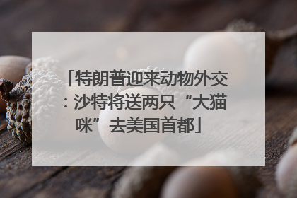 特朗普迎来动物外交：沙特将送两只“大猫咪”去美国首都