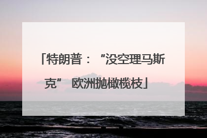 特朗普：“没空理马斯克” 欧洲抛橄榄枝