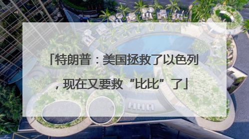 特朗普：美国拯救了以色列，现在又要救“比比”了