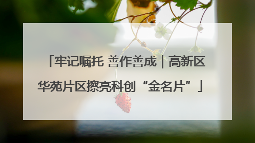 牢记嘱托 善作善成｜高新区华苑片区擦亮科创“金名片”