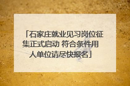 石家庄就业见习岗位征集正式启动 符合条件用人单位请尽快报名