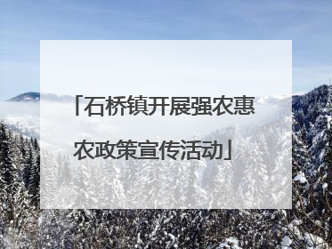 石桥镇开展强农惠农政策宣传活动