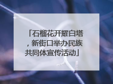 石榴花开耀白塔，新街口举办民族共同体宣传活动