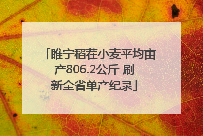 睢宁稻茬小麦平均亩产806.2公斤 刷新全省单产纪录