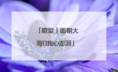 瞭望丨面朝大海 我心澎湃