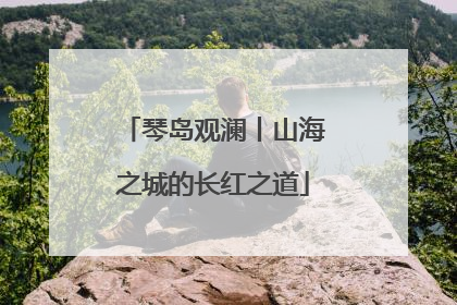 琴岛观澜丨山海之城的长红之道