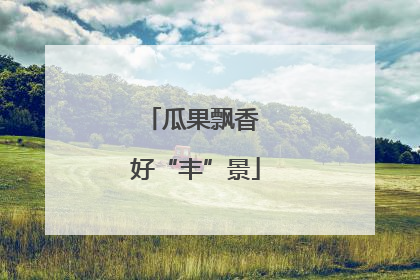 瓜果飘香 好“丰”景