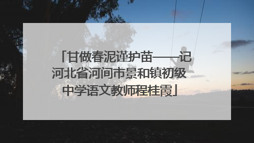 甘做春泥谨护苗——记河北省河间市景和镇初级中学语文教师程桂霞