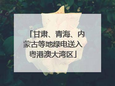 甘肃、青海、内蒙古等地绿电送入粤港澳大湾区