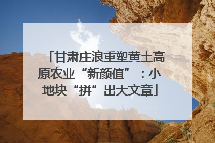 甘肃庄浪重塑黄土高原农业“新颜值”：小地块“拼”出大文章