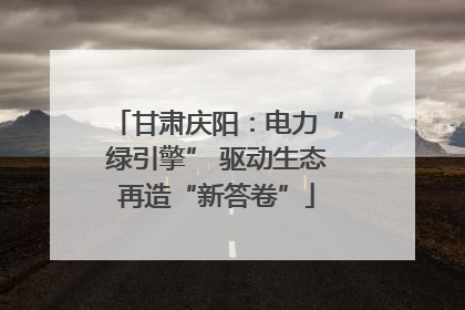 甘肃庆阳：电力“绿引擎” 驱动生态再造“新答卷”