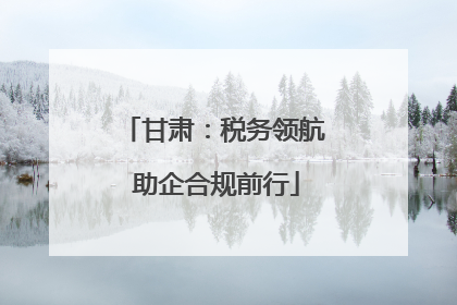 甘肃：税务领航 助企合规前行