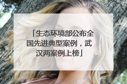 生态环境部公布全国先进典型案例，武汉两案例上榜