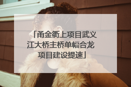 甬金衢上项目武义江大桥主桥单幅合龙 项目建设提速