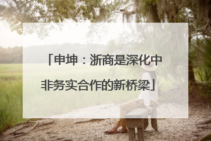 申坤：浙商是深化中非务实合作的新桥梁