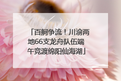 百舸争流！川渝两地66支龙舟队伍端午竞渡绵阳仙海湖
