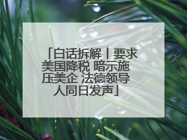 白话拆解丨要求美国降税 暗示施压美企 法德领导人同日发声