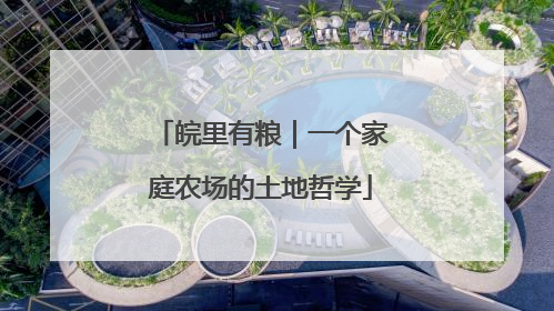 皖里有粮｜一个家庭农场的土地哲学