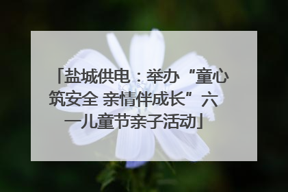 盐城供电：举办“童心筑安全 亲情伴成长”六一儿童节亲子活动