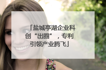 盐城亭湖企业科创“出圈”，专利引领产业腾飞
