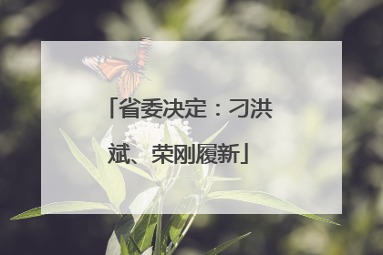 省委决定：刁洪斌、荣刚履新