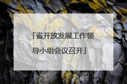 省开放发展工作领导小组会议召开