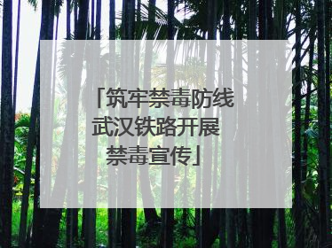 筑牢禁毒防线 武汉铁路开展禁毒宣传