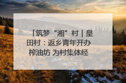 筑梦“湘”村｜皇田村：返乡青年开办榨油坊 为村集体经济“加油”
