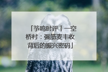 筝鸣时评丨一空桥村：强筋麦丰收背后的振兴密码