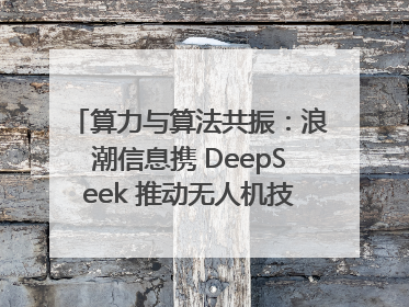 算力与算法共振：浪潮信息携 DeepSeek 推动无人机技术在舟山落地