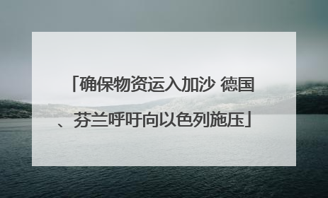确保物资运入加沙 德国、芬兰呼吁向以色列施压