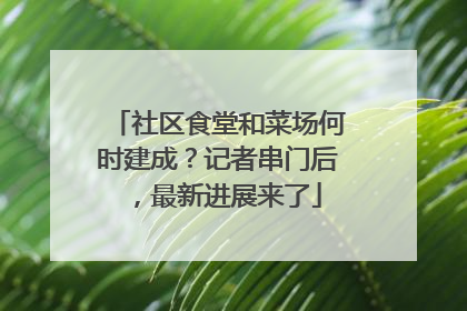 社区食堂和菜场何时建成？记者串门后，最新进展来了
