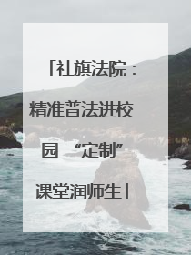 社旗法院：精准普法进校园 “定制”课堂润师生