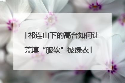 祁连山下的高台如何让荒漠“服软”披绿衣