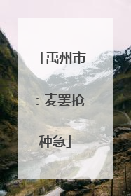 禹州市：麦罢抢种急
