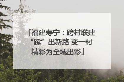 福建寿宁：跨村联建“蹚”出新路 变一村精彩为全域出彩