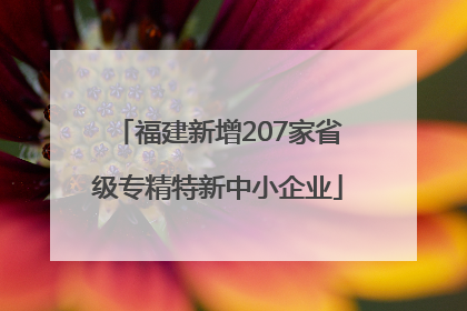 福建新增207家省级专精特新中小企业