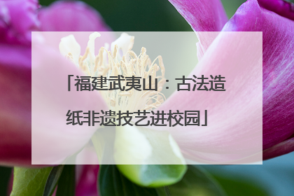 福建武夷山：古法造纸非遗技艺进校园