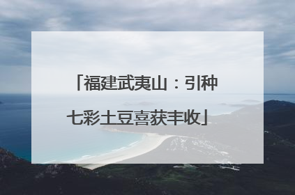 福建武夷山：引种七彩土豆喜获丰收