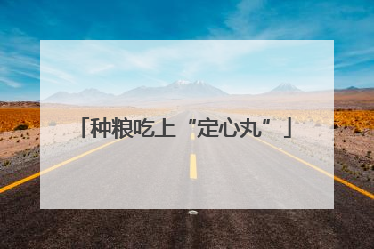 种粮吃上“定心丸”