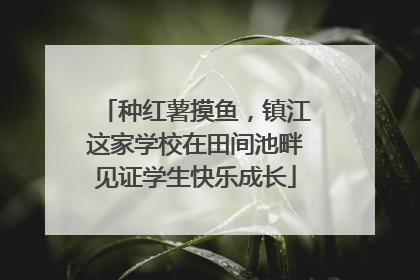 种红薯摸鱼，镇江这家学校在田间池畔见证学生快乐成长