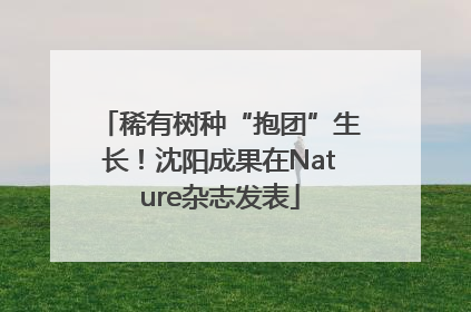 稀有树种“抱团”生长！沈阳成果在Nature杂志发表