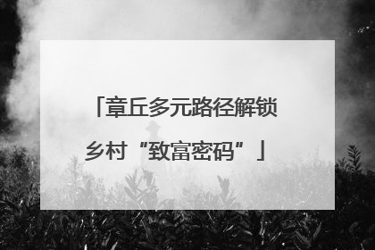 章丘多元路径解锁乡村“致富密码”