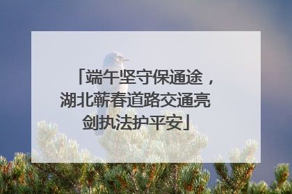 端午坚守保通途，湖北蕲春道路交通亮剑执法护平安