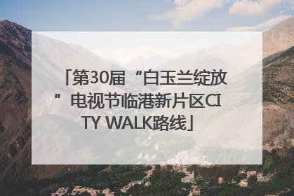 第30届“白玉兰绽放”电视节临港新片区CITY WALK路线